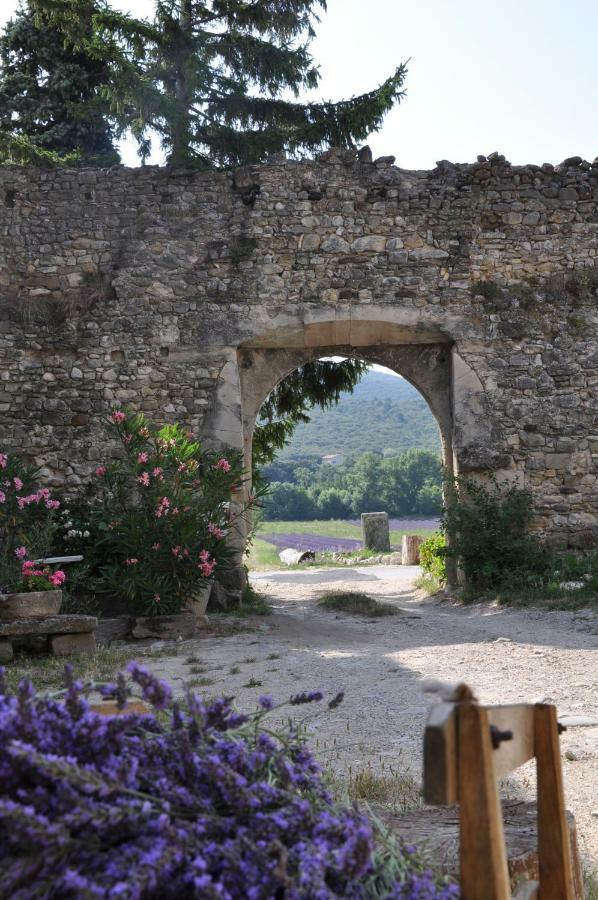 Gites Du Chateau D'Alencon Le Pegue Buitenkant foto