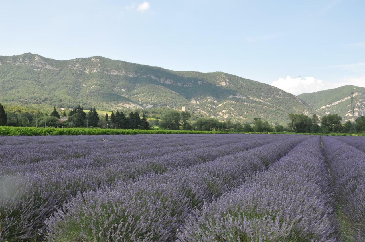 Gites Du Chateau D'Alencon Le Pegue Buitenkant foto