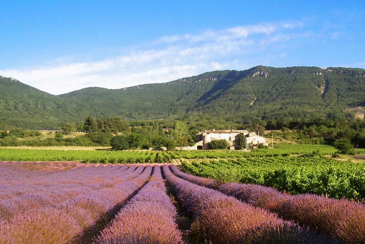 Gites Du Chateau D'Alencon Le Pegue Buitenkant foto