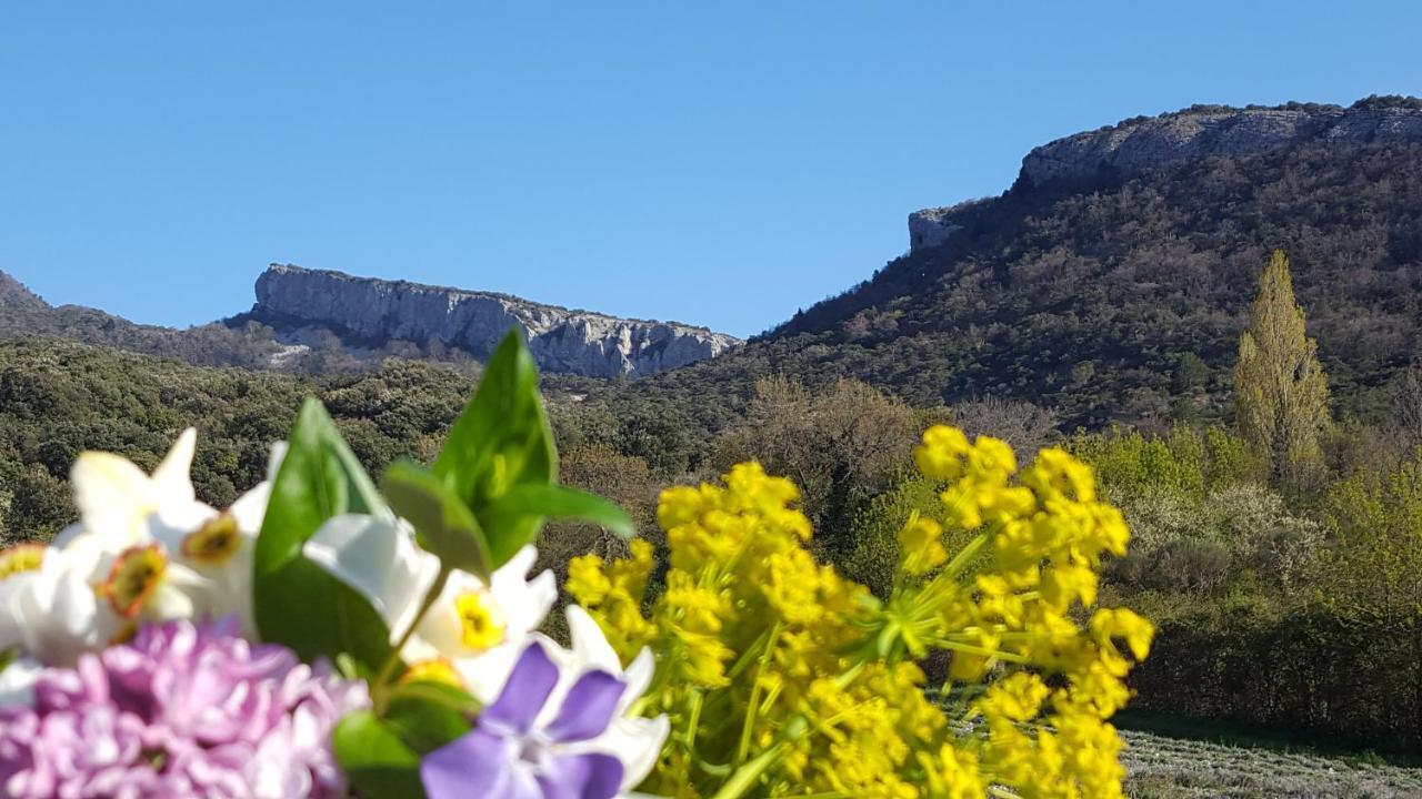 Gites Du Chateau D'Alencon Le Pegue Buitenkant foto