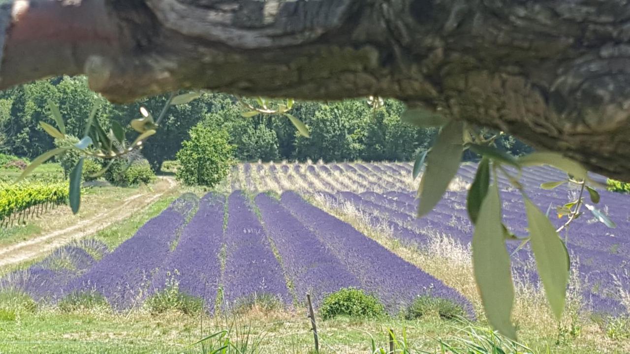 Gites Du Chateau D'Alencon Le Pegue Buitenkant foto