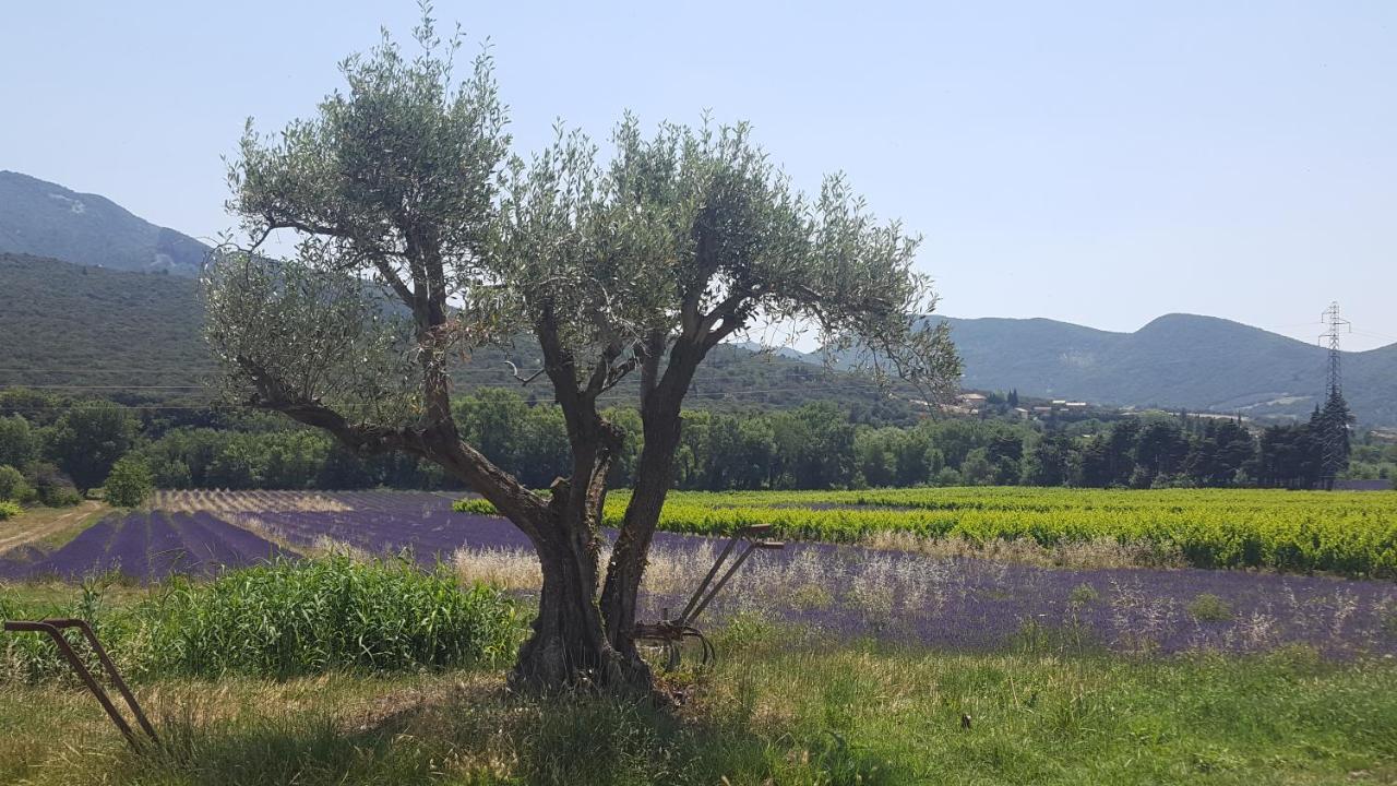 Gites Du Chateau D'Alencon Le Pegue Buitenkant foto